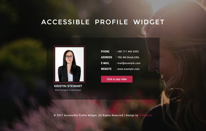 Accessible Wcag 508 Framework