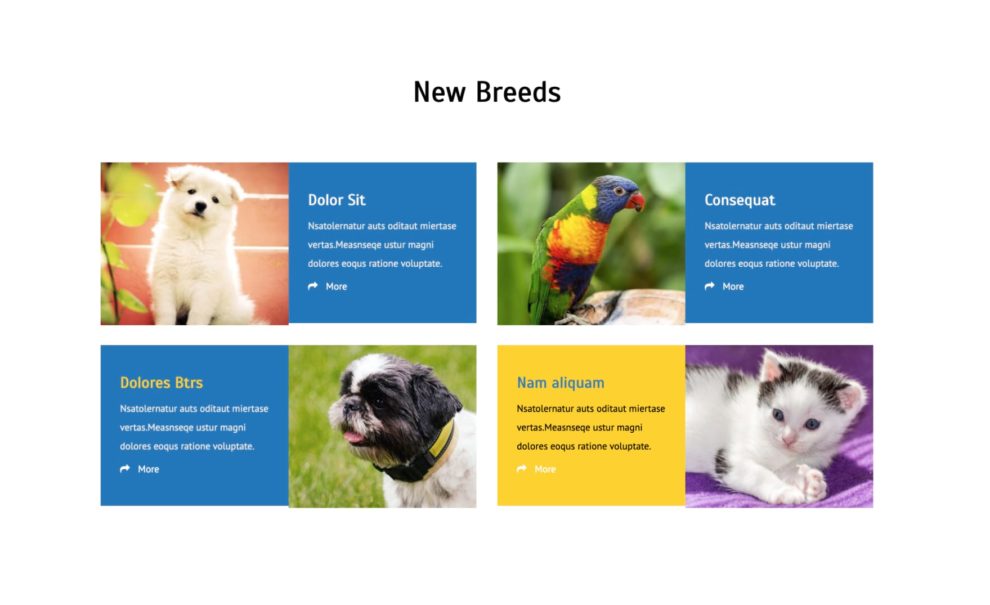 Animals Pets Web Templates and WordPress Themes » W3Layouts